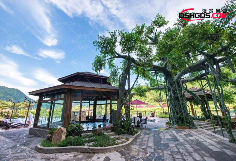安徽阜陽(yáng)人類生態(tài)園景觀仿真樹(shù)優(yōu)雅而浪漫