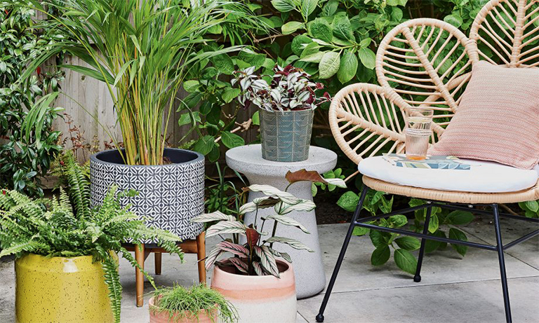 11個植物花園項(xiàng)目—從種植到繪畫讓植物花園重獲新生（上）