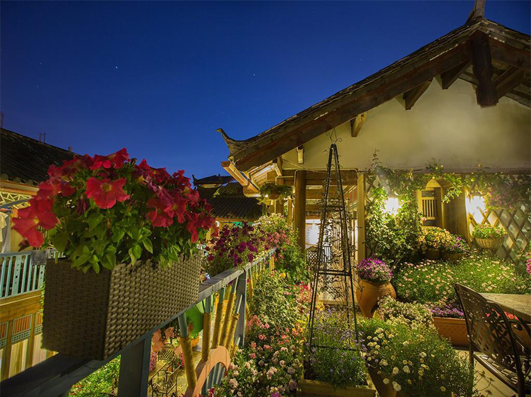 如何建造一個藥草花盆——讓澆灌藥草變得容易