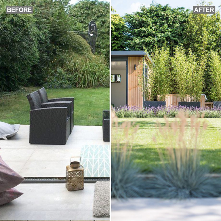 了解如何合理減少綠化以創(chuàng)建實用的植物花園