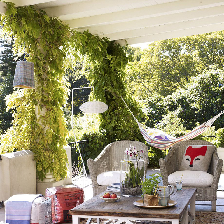 熱門夏季植物花園娛樂活動(dòng)趨勢（上）