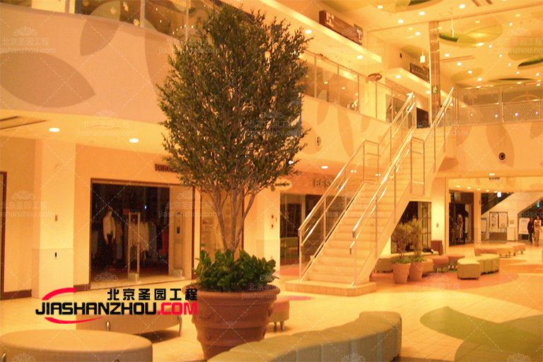 佳福建室內(nèi)盆景仿真樹(shù)以及室內(nèi)仿真棕櫚樹(shù)美圖