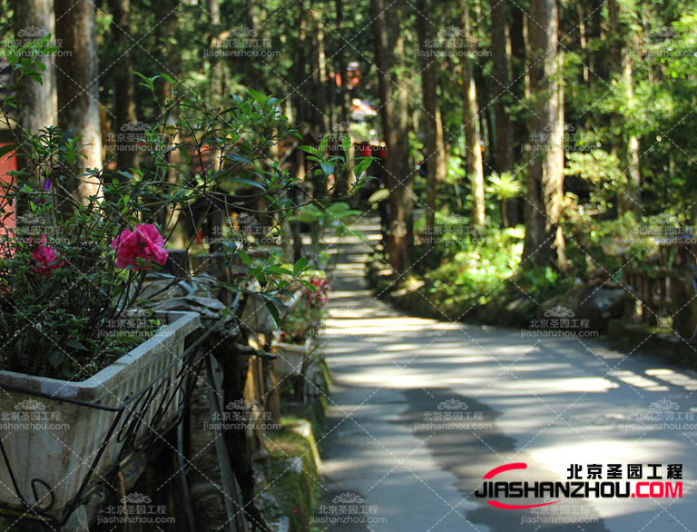 仿真樹的可塑性賦予園林造景的能力