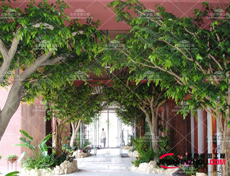 仿真樹當你厭倦了城市的喧鬧時創(chuàng)出美景讓大家向往大自然