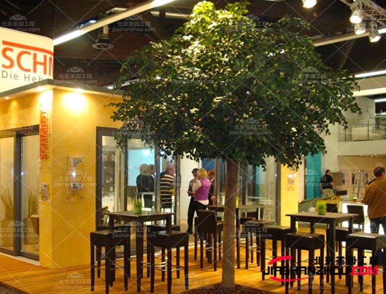 仿真樹(shù)作為園林景觀帶主要產(chǎn)品 分類都有哪些呢？