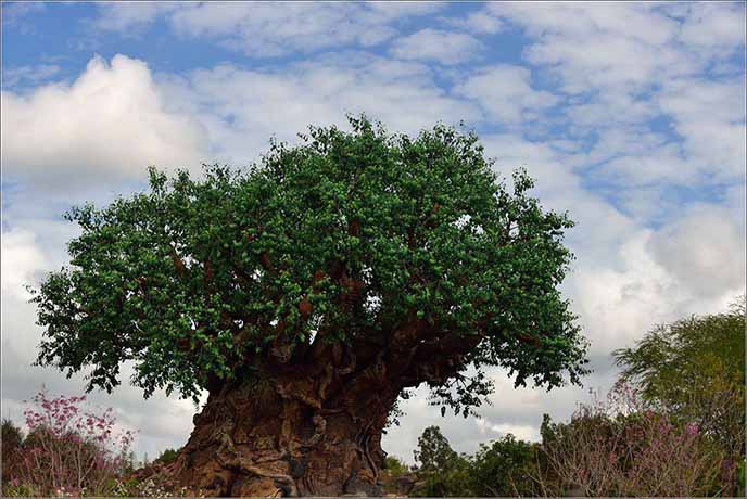 仿真樹是如何制作的？仿真樹的樹體品種有哪些？