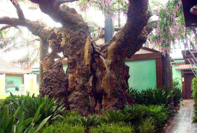 仿真樹施工的具體步驟都有哪些？你知道嗎？