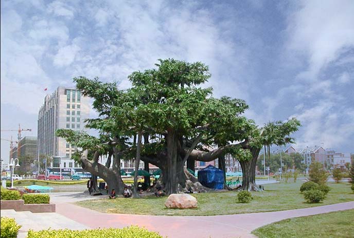 北京廠家的仿真樹(shù)質(zhì)量有保證，值得信賴(lài)