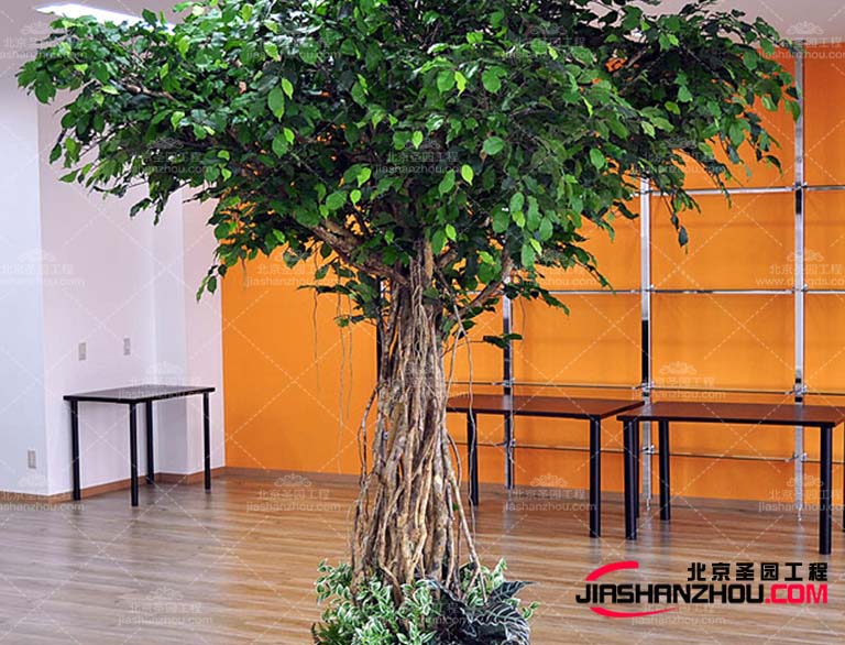 仿真樹具有不脫葉而且仿真樹長(zhǎng)久耐用、不會(huì)枯萎等優(yōu)點(diǎn)