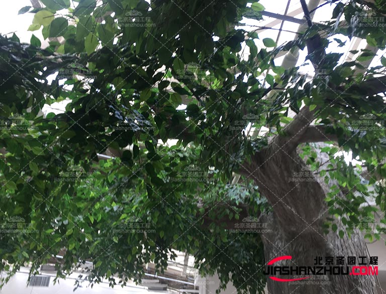 那么大家對(duì)仿真樹(shù)有什么優(yōu)勢(shì)與劣勢(shì)呢這里給大家來(lái)說(shuō)一下