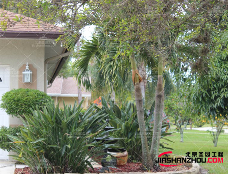 現(xiàn)在的室內(nèi)外仿真樹的活動場地：如演唱會、展覽等活動場地