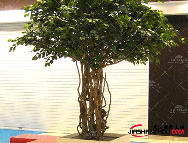 現(xiàn)在需要仿真樹是如此的讓城市煥發(fā)出生機(jī)適用于多樣化場景