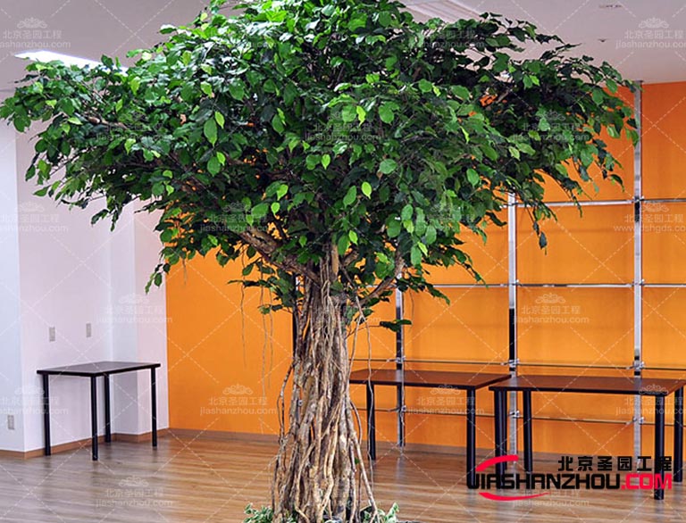 仿真樹(shù)可以為人們提供一種接近自然的感覺(jué)緩解壓力