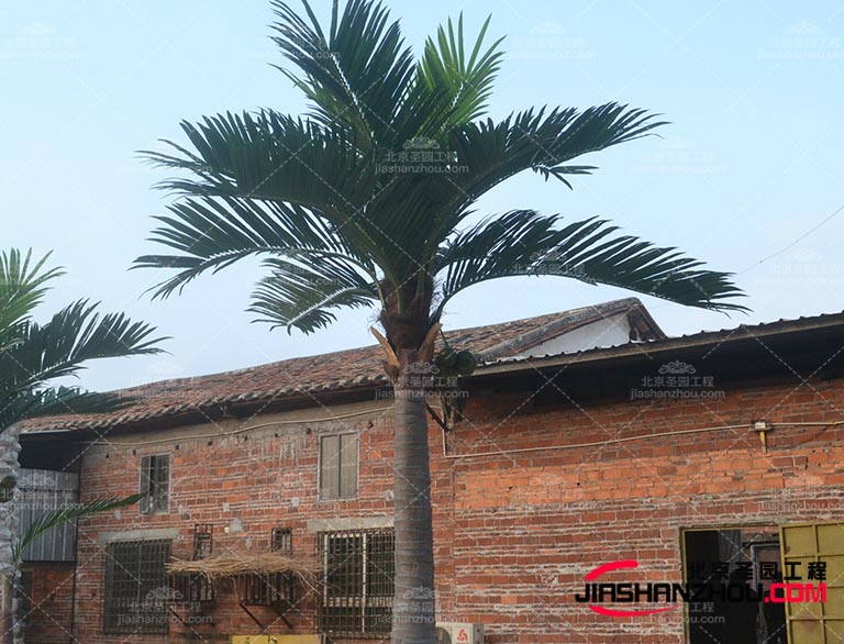 相信仿真樹將會越來越逼真和真實成為裝飾行業(yè)的熱門選擇