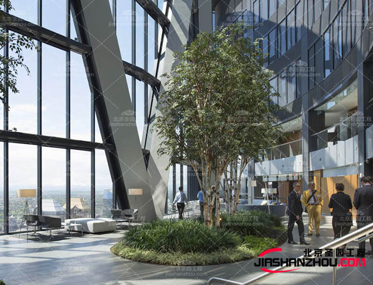 如今的仿真樹塑造出與仿真樹品牌相符合的形象提升品牌