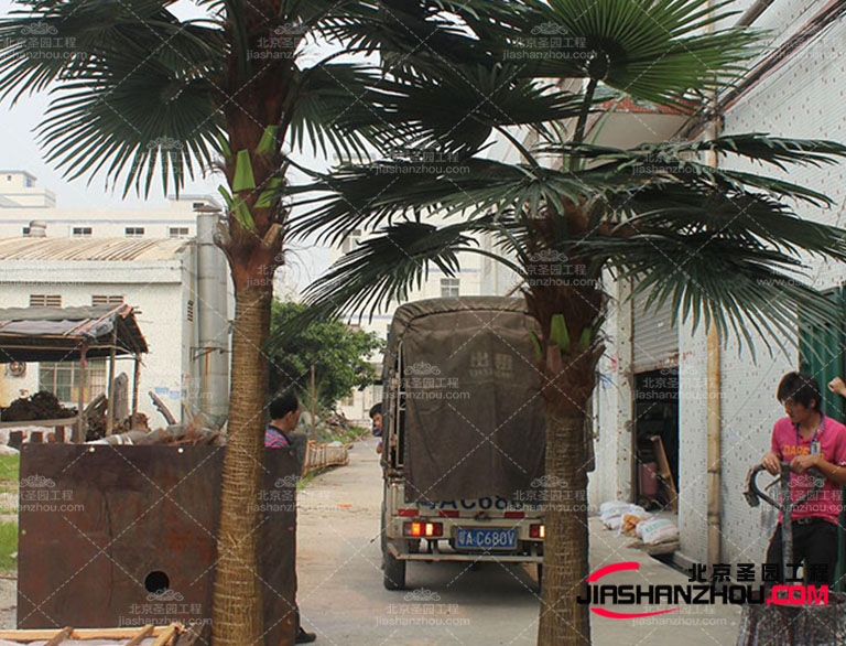 仿真樹通過與藝術(shù)家的合作仿真樹將藝術(shù)和功能性餐具完美結(jié)合
