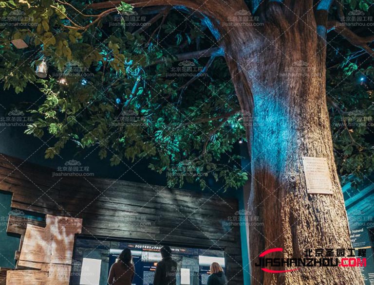 如果空間較小，選擇較低的仿真樹可以避免給空間帶來壓迫感