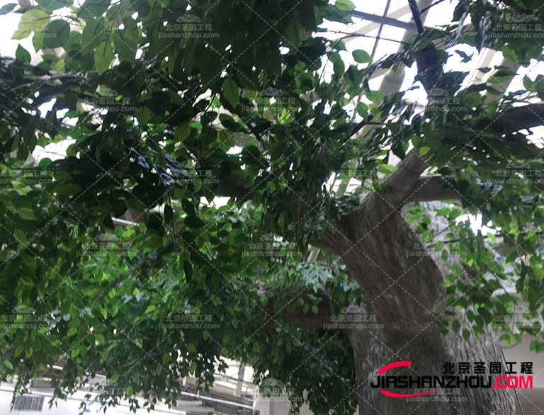 LED燈裝飾仿真樹 創(chuàng)造真實(shí)自然的綠色景觀