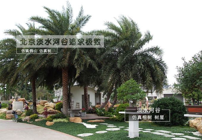 10米大王椰子樹價(jià)格 廈門仿真樹廠家