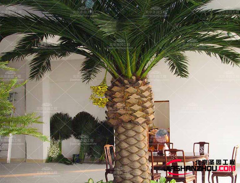 浙江仿真樹(shù)室內(nèi)外裝飾點(diǎn)綴了人們的生活 給予美的享受