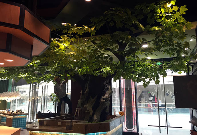 仿真樹生產(chǎn)廠家  北京仿真樹設(shè)計(jì)公司