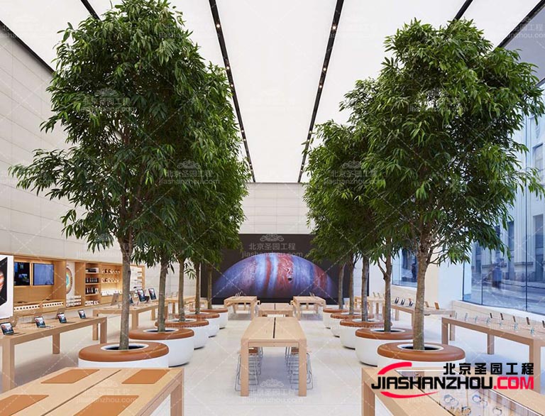 北京昌平仿真樹具有非常強大的實用性 定制你的自然景觀