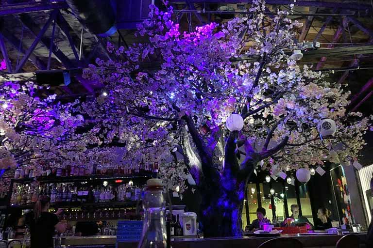 云南夏日仿真樹(shù)奇遇 荒蕪神秘大樹(shù)的驚奇之旅