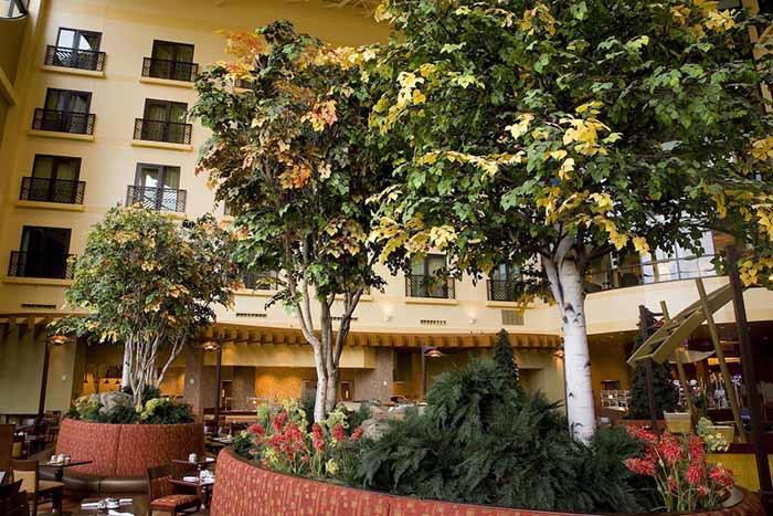 昌平景區(qū)商場假樹制作廠家 專業(yè)仿真樹造景施工隊(duì)