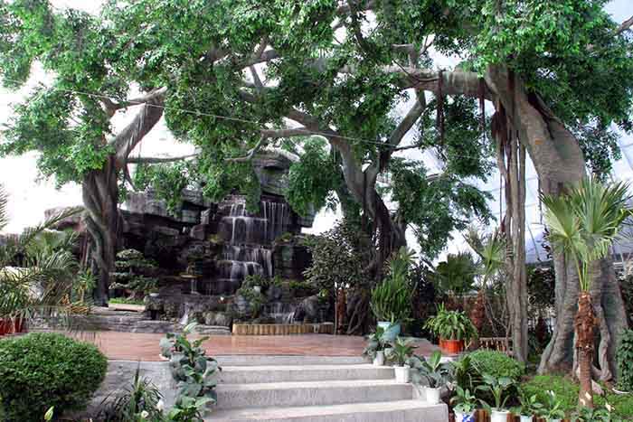 仿真樹(shù).jpg 仿真樹(shù)