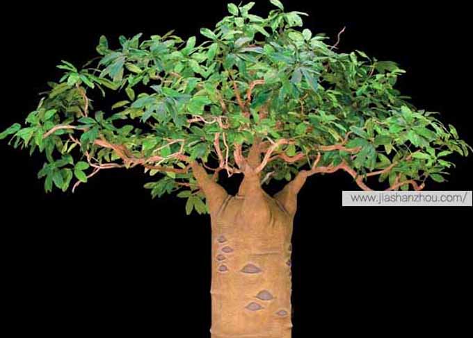 仿真面包樹.jpg 仿真面包樹