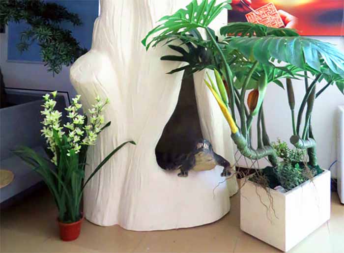 泡沫仿真樹.jpg 泡沫仿真樹