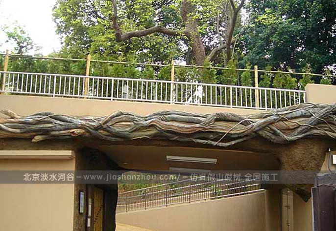 仿真樹根