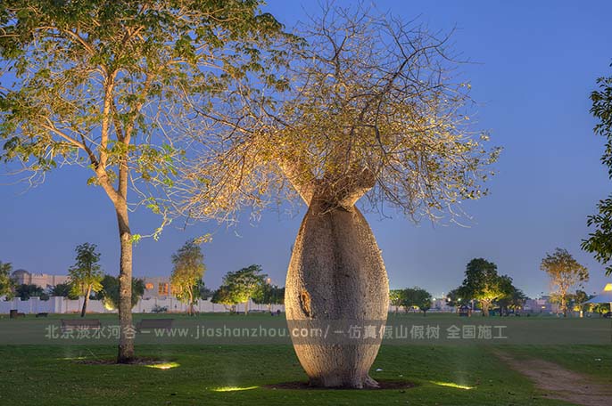 仿真面包樹.jpg 仿真面包樹