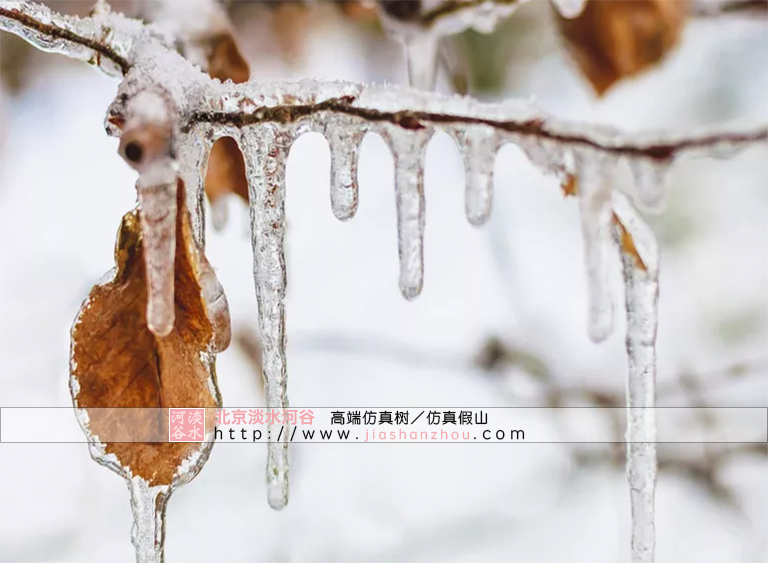仿真樹