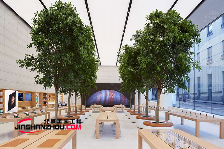 仿真樹.jpg 仿真樹.jpg