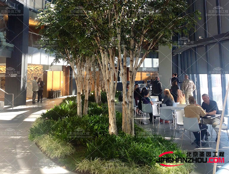 仿真樹.jpg 仿真樹